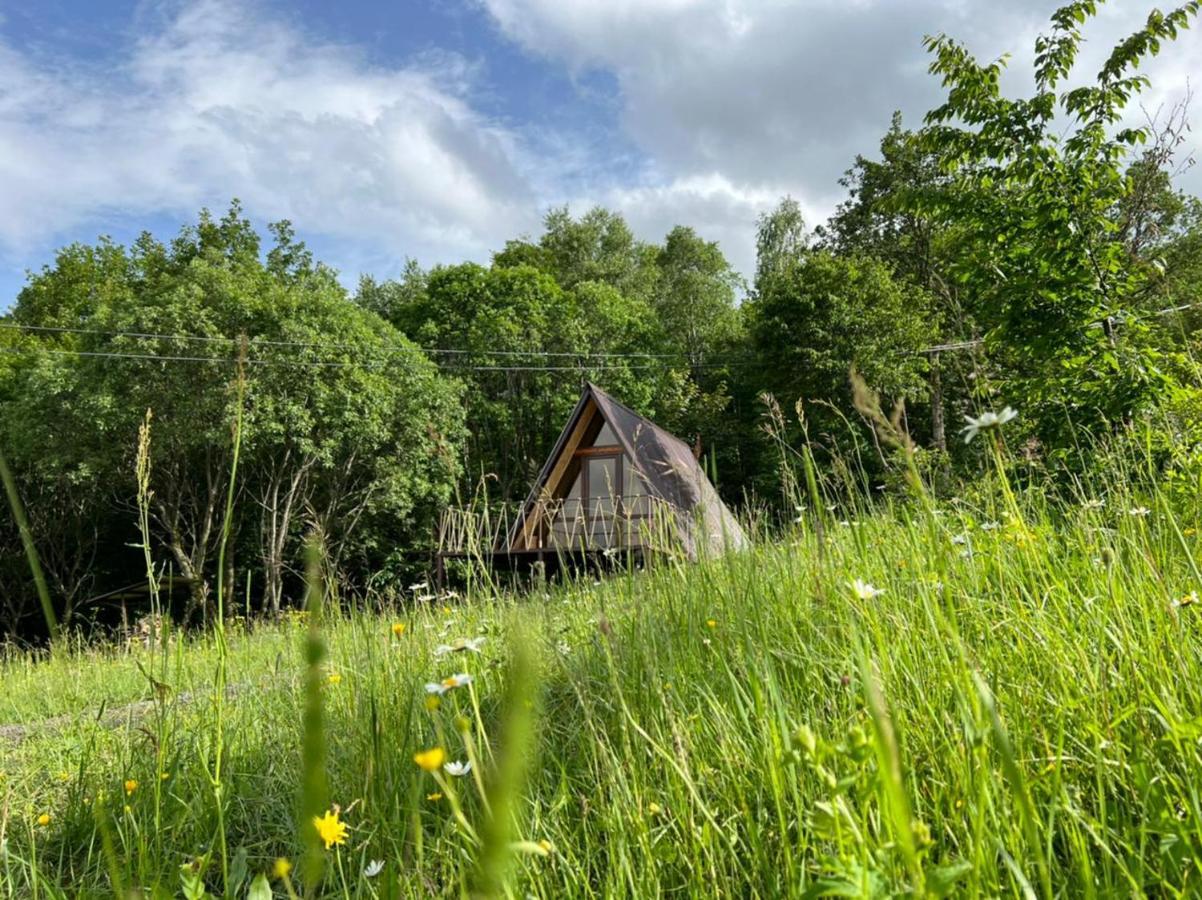 Glamping Wolf Mount Margahovit Quarto foto