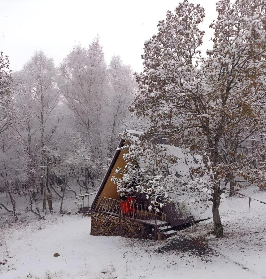 Glamping Wolf Mount Margahovit Exterior foto