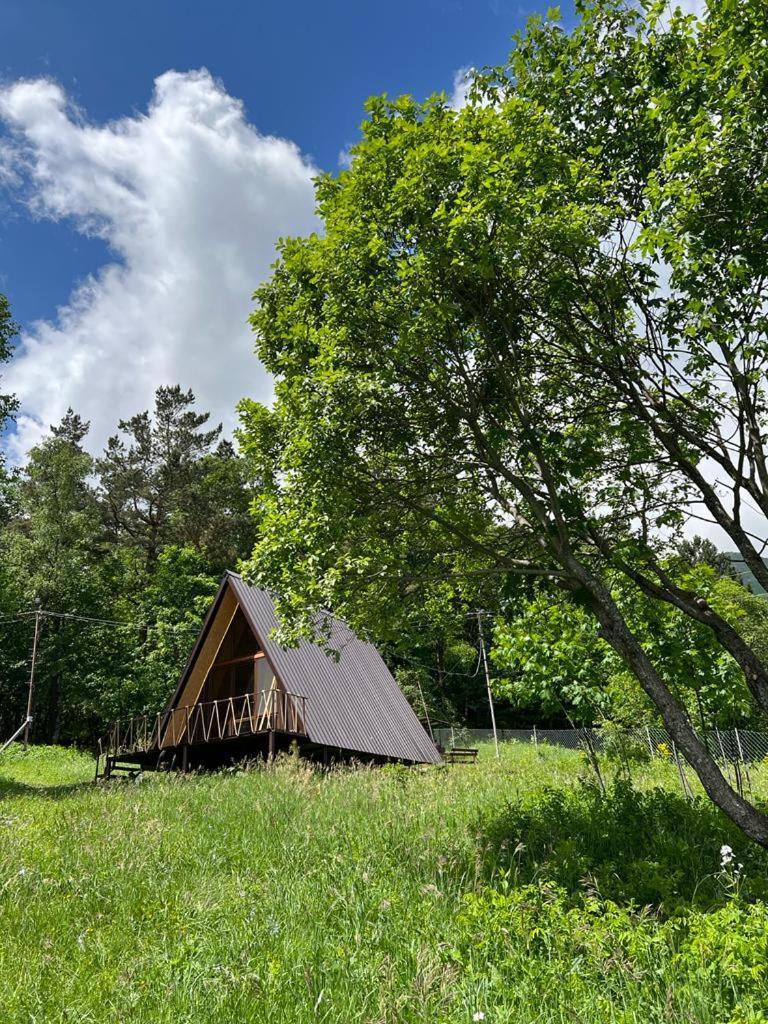 Glamping Wolf Mount Margahovit Quarto foto
